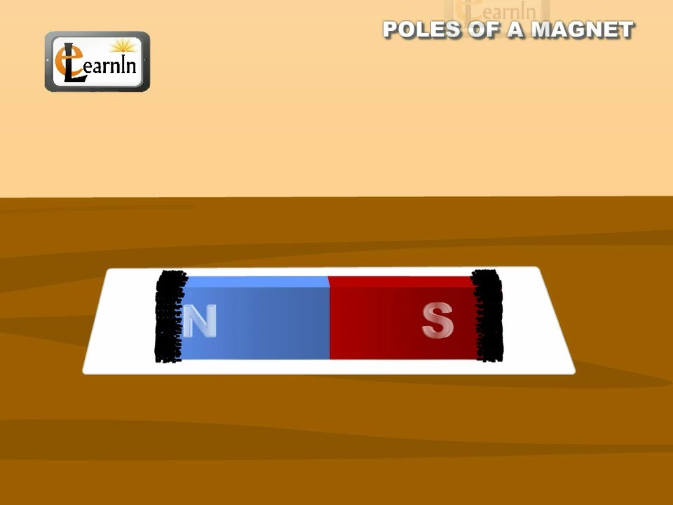 Poles of a bar magnet - Elementary Science 