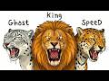 Every BIG WILD CAT Explained in 8 Minutes