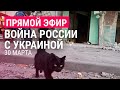 Война в Украине. День 35. Россия отводит войска? Очевидец из театра Мариуполя