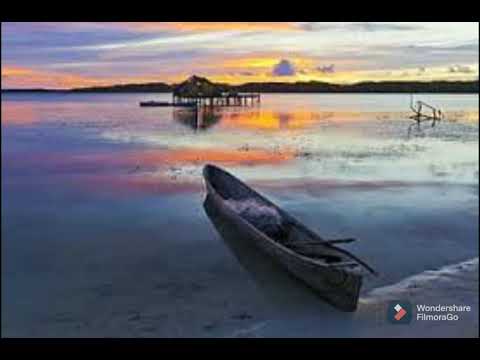 رقم 1في العالم موسيقى مرح