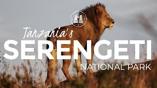 Serengeti National Park, Tanzania / 2023