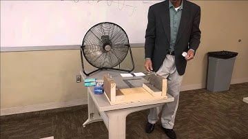 Flutter Experiment with Shelton Flores