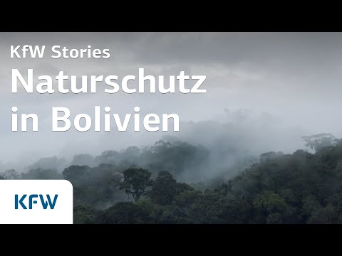 Video: Die Sicherheitsleitungen Am John F. Kennedy Airport Sind Die Langsamsten