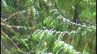 Search Suspended For Missing Hiker