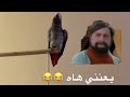 من سنابات سعيد وكوكو مقطع منوع وضحك 🦜1