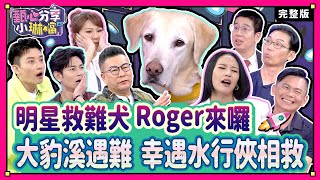 👑驚魂一瞬間！人禍？意外？誰能躲過死神？領犬員帶搜救犬Roger尋找生還者！地震來時沈玉琳處變不驚，是為了男性的尊嚴！緯來戲劇台43頻道《甄心分享小琳鐺 克莉絲丹光圈蜜粉》20240508(完整版)