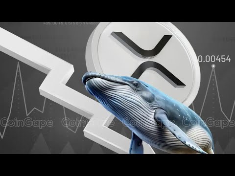 Ripple Memindahkan 200.000.000 XRP Senilai $457 Juta: Ada Apa?