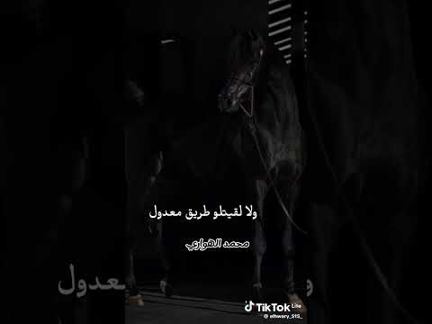 محمود السوهاجي واقول اصبر يا قلبي تنول