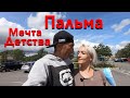 Пальма. Мечта детства.