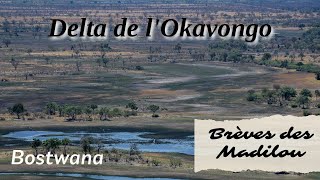 Breve des Madilou :  Delta de l'Okavongo - Botswana