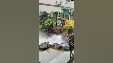 Máy Tạo Khói: Bí Quyết Tạo Điểm Nhấn Độc Đáo Cho Hồ Cá #hoca #beca #cácảnh