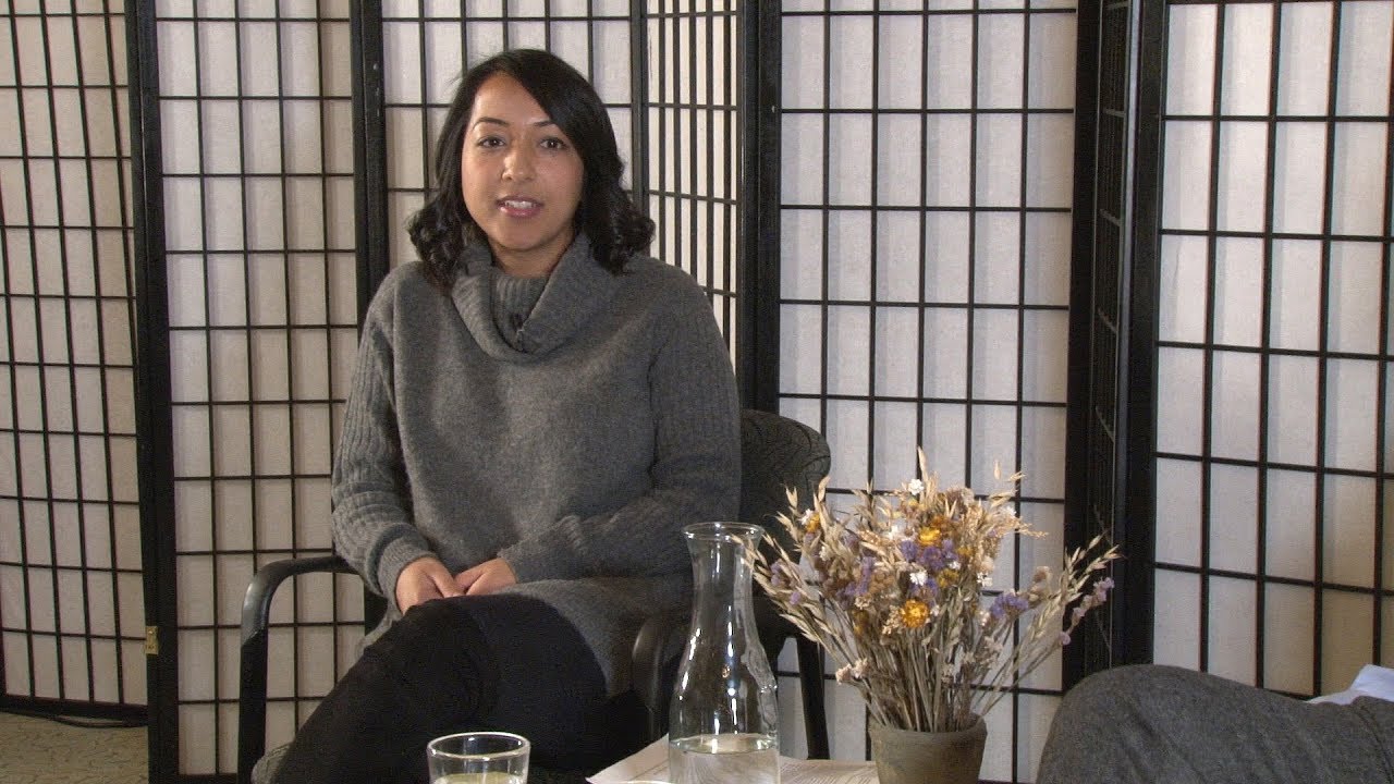 Being the First: Sana Amanat '04 - On Career