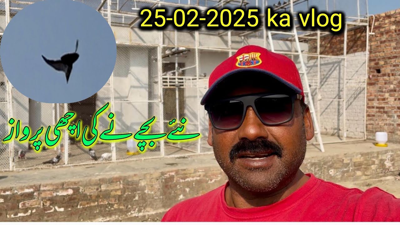 25-02-2026 ka velog bachon ne ki aaj bi achi parwaz👍|| Ustad ch kamran 
