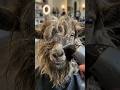 Goat Gets a Mullet Haircut 😂🐐✂️ | Funniest Farm Animal Transformation #goat #funnyanimals #shorts