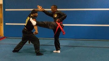 Fighting Application Crop Kick Praying Mantis Kung Fu Vid 7 Sifu Bryan Barnes