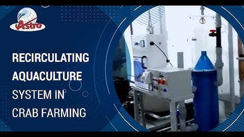 Recirculating Aquaculture system in Crab Farming - Astro Aquaculture