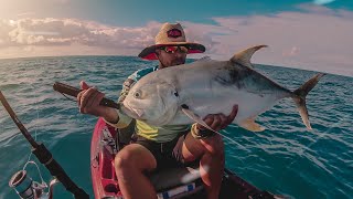 ÉPICA Batalla Jurel IMPARABLE Light Tackle Fishing | En el REEF YELLOWTAIL&#39;S &amp; JACK&#39;S