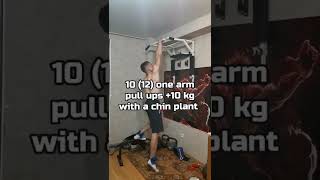 10 (12) one arm pullups + 10 kg with a chin plant