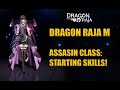 Dragon Raja : Assassin Class (Preview Skills)