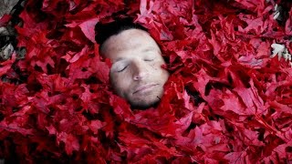 II. Alive - RED - of Beauty and Rage