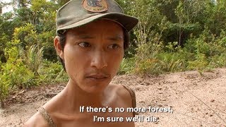The Effects Of Deforestation On The Penan -Tribe With Bruce Parry - BBC