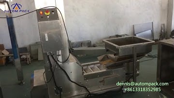 Autompack Back Sides Sealing High Quality Automatic Red Bean Paste Nuts Packing Machine