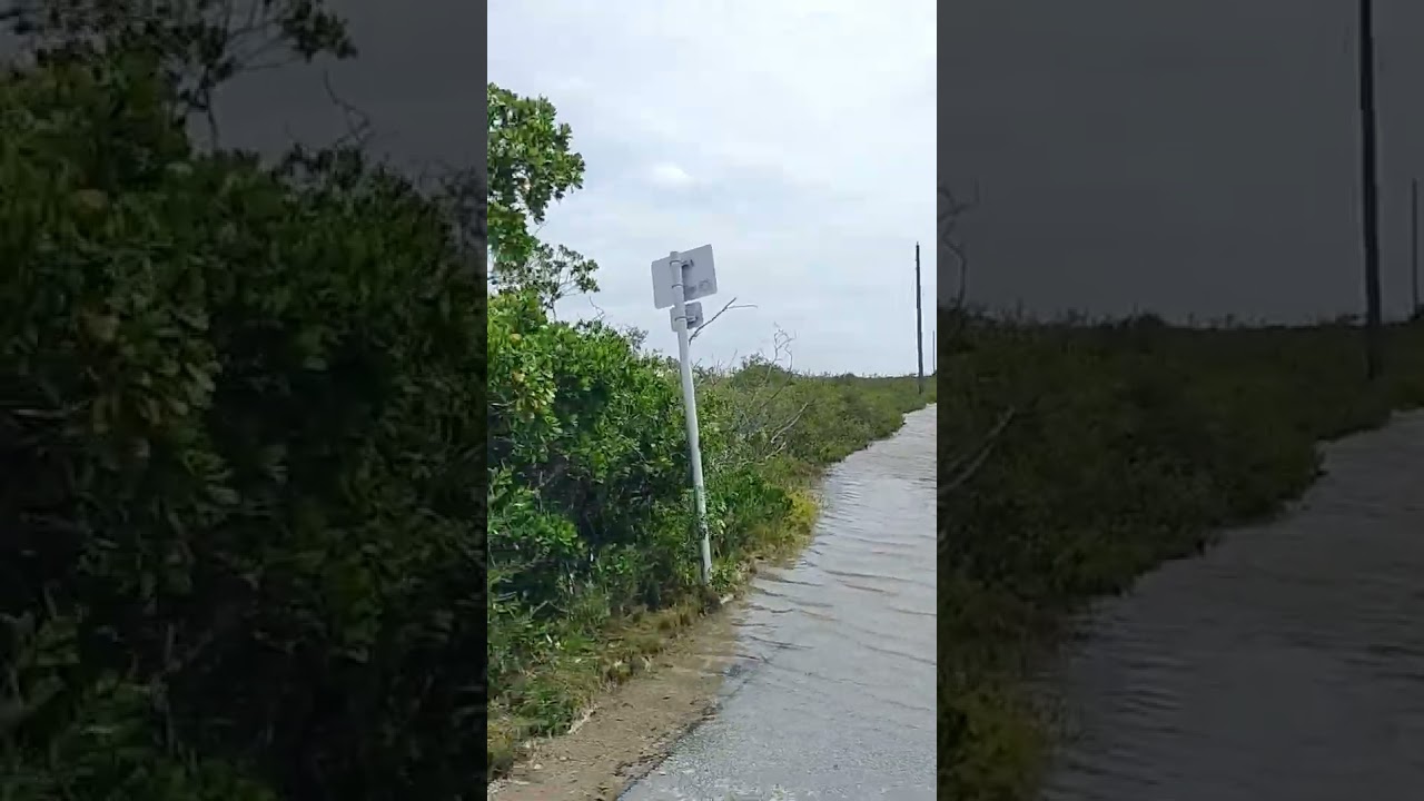 Florida Sights and Sounds | Major Hurricane Helene Coastal Flooding | Torch Key | Monroe County