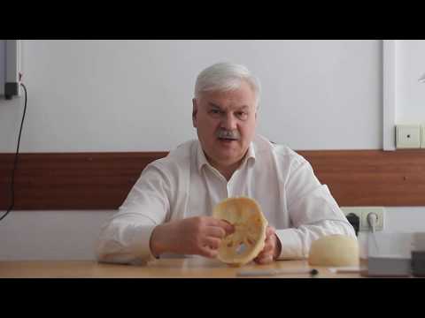 Синусогенная головная боль