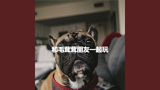 Outstanding Uplifting Journeys