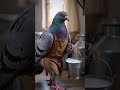 #shorts#youtubeshorts#viral#trending#fyp#explore#viralvideo#subscribe#newvideo#shortvideo#i##wroth