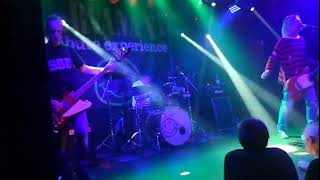 Download Lagu Nirvana Tribute live at Orto bar Ljubljana  MP3