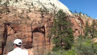 Il Bone A Zion Canyon