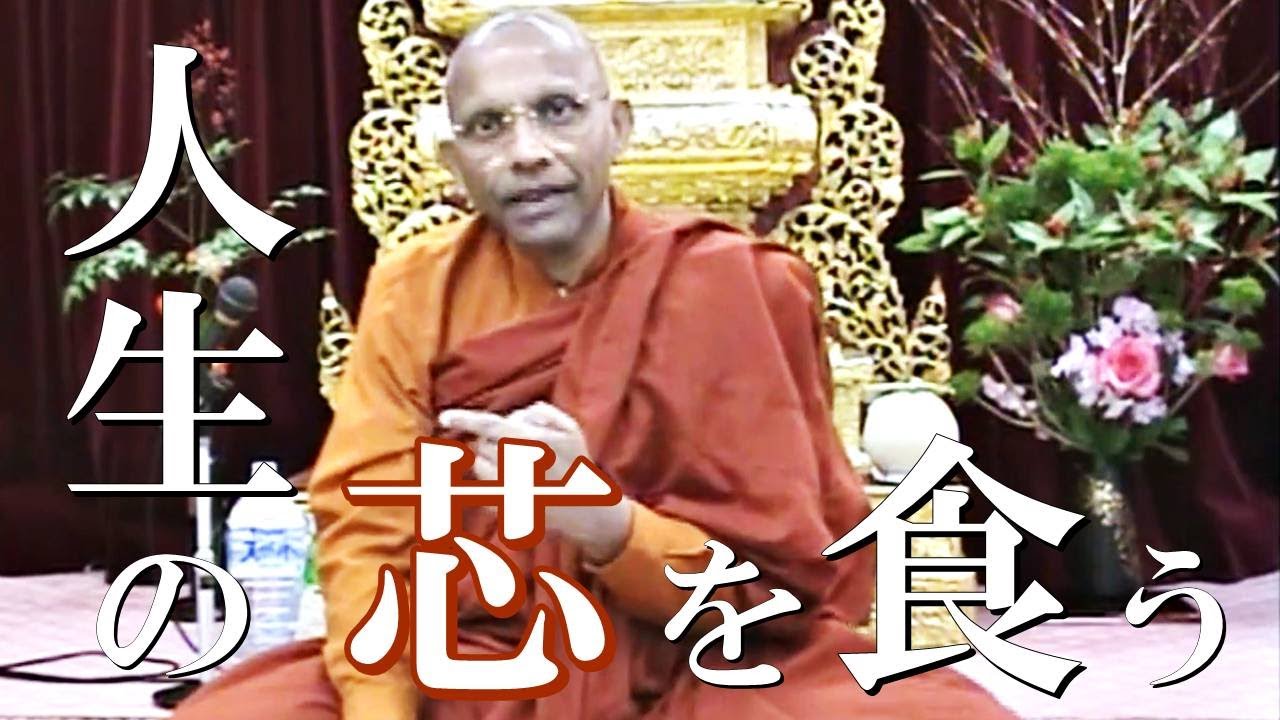 人生の芯を食う　ダンマパダ（法句経）11,12偈｜スマナサーラ長老のパーリ経典解説