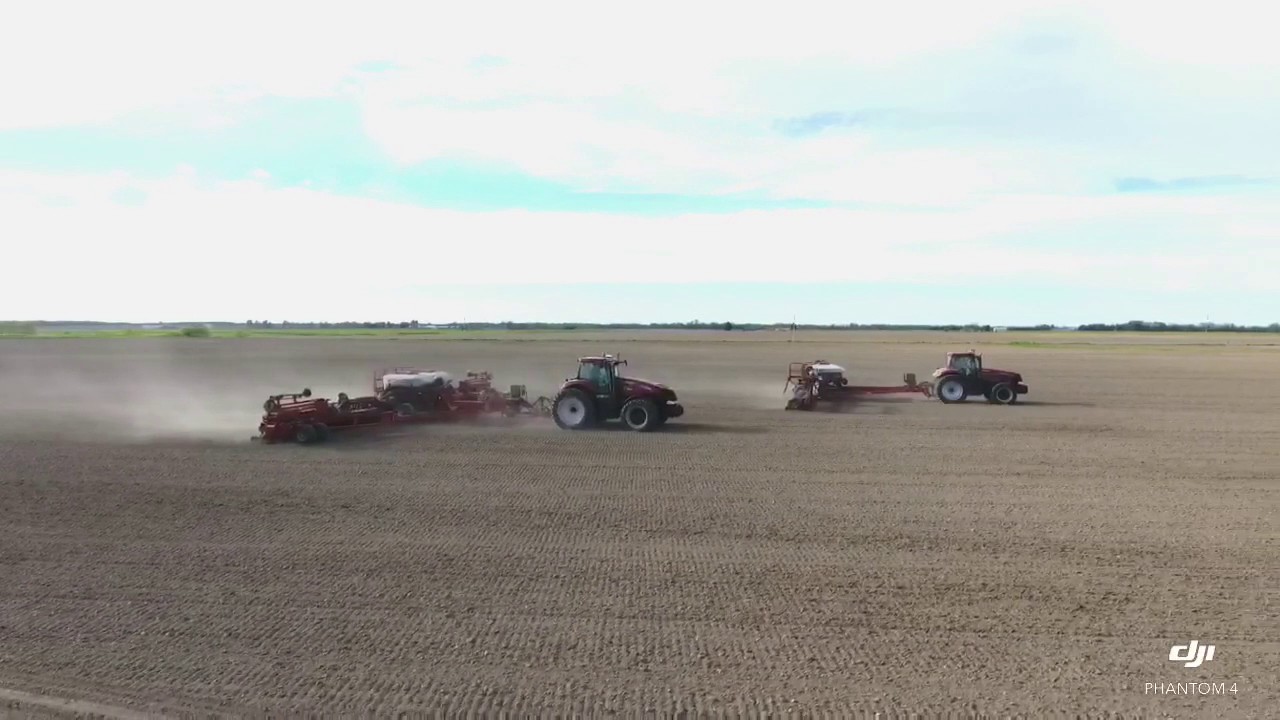 Wendte Farms Ltd: 2017 Corn Trial - 20-inch rows vs. 30-inch rows - YouTube