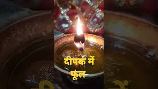 What Are The Advantages Disadvantages And Symptoms Of Flowers Forming In A Ldan deepak jyotish shorts short ytshorts viral
