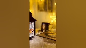 أحسن الناس تلاوة للقرآن - الشيخ سليمان الرحيلي