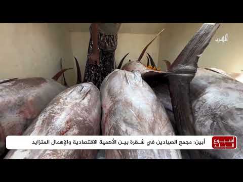 صيد التونة في شقرة... تحديات الصيادين ومطالبهم بالدعم
