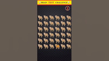 Brain Test Challenge! Riddles And Puzzles for IQ Test Part 14#viral #shorts #quiztime #youtubeshorts