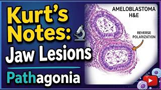 Kurt's Notes Jaw Lesions #pathagonia