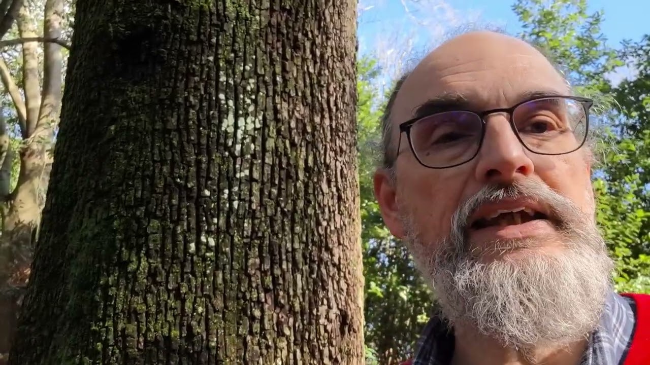 A implica B: che vuol dire? Ce lo dicono i filosofi stoici