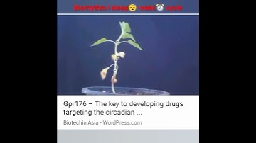 Biorhythm l sleep 😴- wake ⏰ cycle #circadianrhythm #viral #@botanysolution4054
