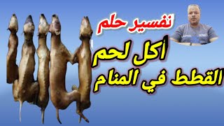 تفسير رؤية حلم اكل لحم القطط في المنام / أبوزيد الفتيحي