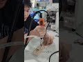 Handheld Automatic Screwdrive #machine #factory