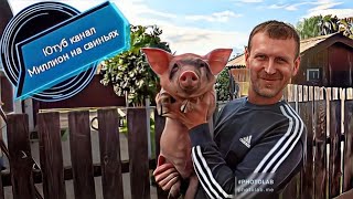 Строим Загон Для Быков🐂‼️Распоковка Посылок ‼️