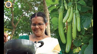 ഓ, വഴുതനങ്ങയല്ലേ..? പറയാൻ വരട്ടെ, ഇതിൻ്റെ രുചി അറിഞ്ഞാൽ ഞെട്ടും😋 || vazhuthananga/brinjal curry