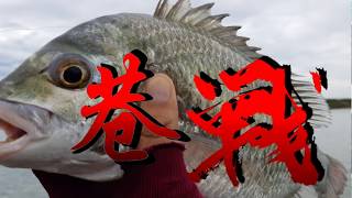 鐵管釣法【曾文溪】黃金鯛季Taiwan Special Fishing ... 