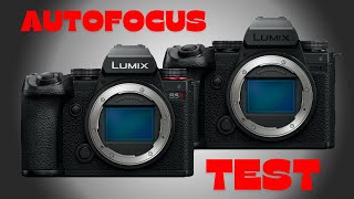 Lumix S5IIX AF performance Post 3.0 Firmware Update! - How good it is now?