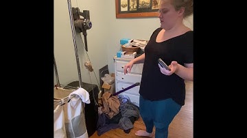 Simple Harmonic Motion - Physics Lab