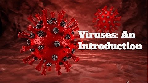 Viruses: An Introduction