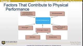 Testing Human Performance in a Lab | Exercise Physiology
